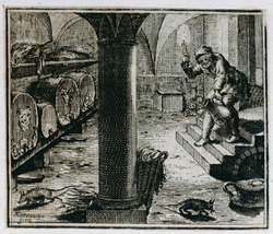 A man in the wine cellar
