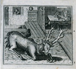 The drunken stag