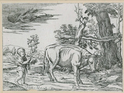The child and the cow