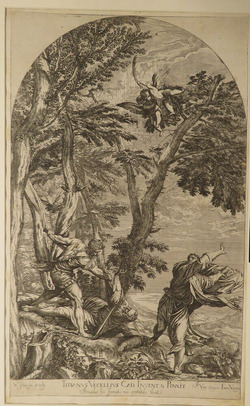 The martyrdom of St Peter Martyr