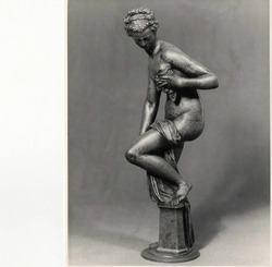 Venus at her bath