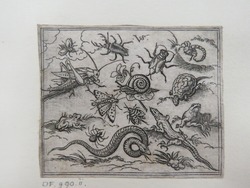 Group of insects and reptiles on plain ground with rocks, including an iguana, lizard, snake, turtle, scorpion, snail, spider, beetle, and cricket, from Douce Ornament Prints Album I