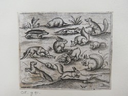 Group of thirteen small woodland creatures eating and running around a pond, including mice, a rabbit, squirrel, beaver, ferret, pine marten, and badger, from Douce Ornament Prints Album I