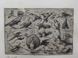 Ten birds on small foliage tendrils with a stork tying a tendril around a pelican’s leg, a peacock, and a large beetle in the foreground, from Douce Ornament Prints Album I