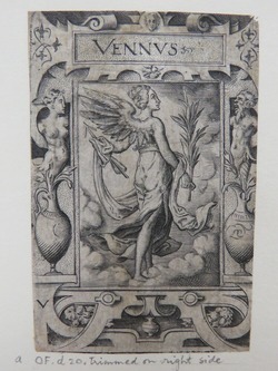 Venus in centre viewed from behind holding a palm frond surrounded by a strapwork border with two vases with male and female herms inside on sides and name above, from Douce Ornament Prints Album I