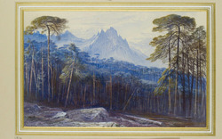The Forest of Valdoniello, Corsica
