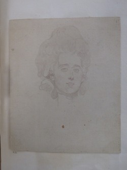 Study of the Head of a Woman
