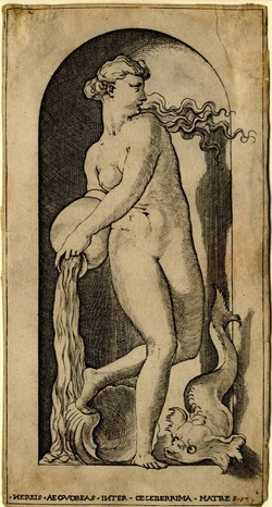 Thetis