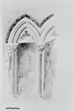 Design Studies for Capitals for the University Museum, Oxford