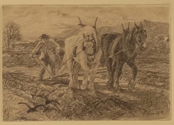 A Ploughman