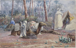 Scene with Camels and Tents among Palm Trees