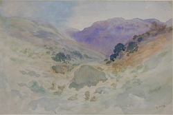 A valley enclosed in hills with cows in the foreground