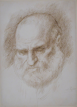 Head of a bearded man, inclined slightly to left