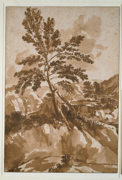 Two trees in a rocky landscape
