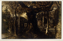 The Skirts of a Wood