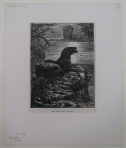 The Otter and its Prey