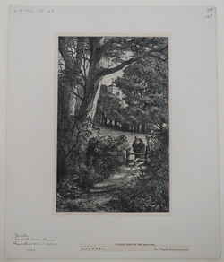 A Walk through the Meadows