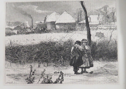 'Winter'