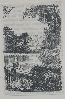 Sketch for initial letter ' F '