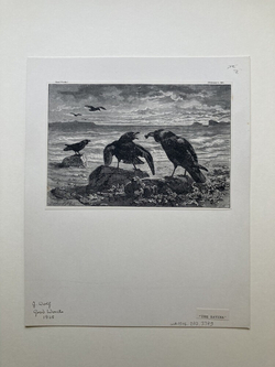 'THE RAVENS.'