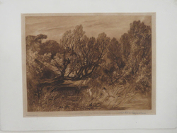 Pan and Syrinx.  No.2