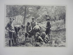 Boys from South-East London Gathering Sticks