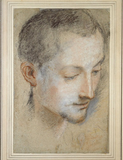 Study of a young man's head
