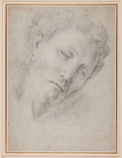 Head of St Francis