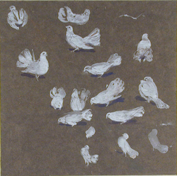 Studies of Doves