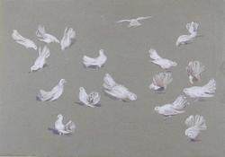 Studies of Doves