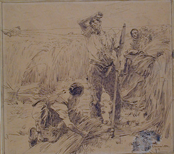 A scene of harvesters