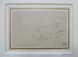 Study of Sheep