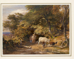 The Wooded Lane