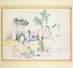 Landscape with tall trees and a view of the sea
