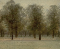 Beech Trees at Sunset, Kensington Gardens