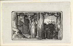 The Lady with the Rooks