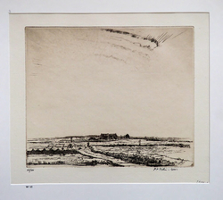 An Irish Peat-Bog