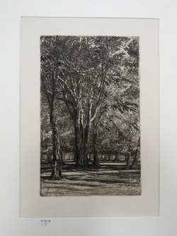 Kensington Gardens, No. II