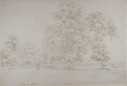 Barns Elms
