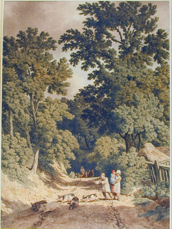 Children driving Pigs across a woodland Track