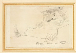 Study of a Cat, Atossa