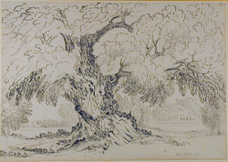 Hyde Park
