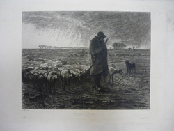 Rentrée du Troupeau