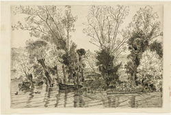 Les Saules des Mottiaux (The Willows of Mottiaux)