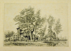 Les Acacias