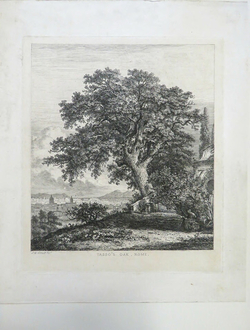 Tasso's Oak, Rome