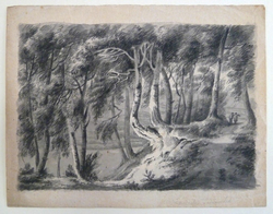 Scene in a Wood