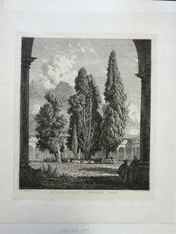 Michael Angelo's Cypresses, Rome