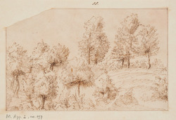 Landscape with trees