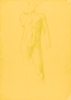 A Male Nude, standing (torso only)